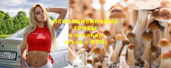 apvp Верея